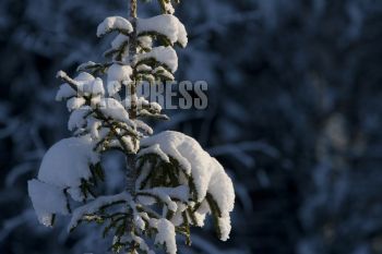 EA154997, Eastpress, Savitaipale, Suomi